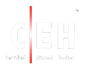 CEH Certified Ethical Hacker